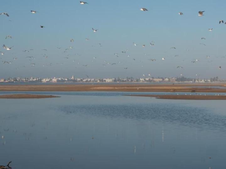 Bed and Breakfast Tigmi Anis Essaouira Exterior foto